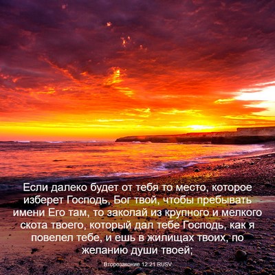 Picture 03 - Второзаконие 12:21 RUSV - Если далеко будет от тебя - Bible Verse Picture