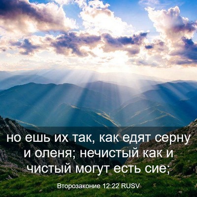 Picture 03 - Второзаконие 12:22 RUSV - но ешь их так, как едят - Bible Verse Picture