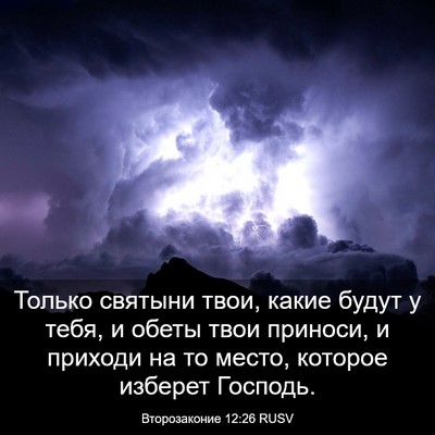 Picture 03 - Второзаконие 12:26 RUSV - Только святыни твои, какие - Bible Verse Picture
