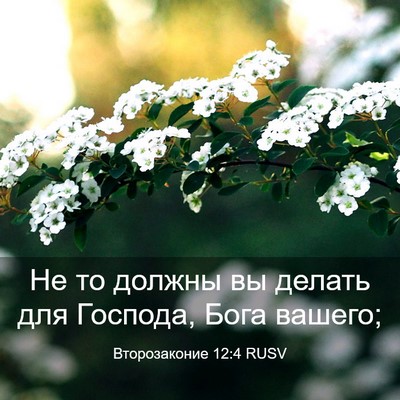 Picture 03 - Второзаконие 12:4 RUSV - Не то должны вы делать для - Bible Verse Picture