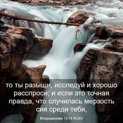 Picture 03 - Второзаконие 13:14 RUSV - то ты разыщи, исследуй и - Bible Verse Picture
