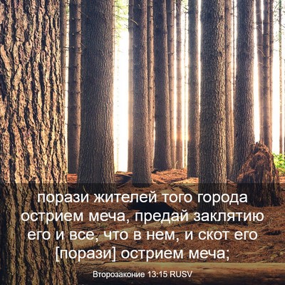 Picture 03 - Второзаконие 13:15 RUSV - порази жителей того города - Bible Verse Picture