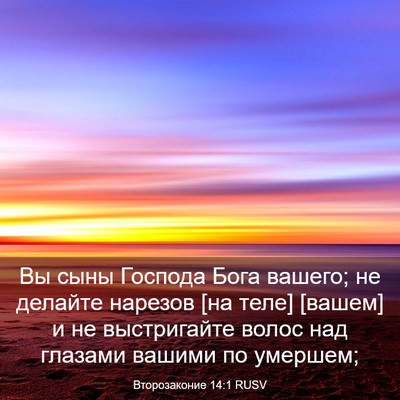 Picture 03 - Второзаконие 14:1 RUSV - Вы сыны Господа Бога - Bible Verse Picture