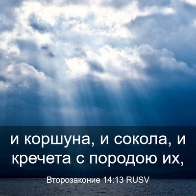 Picture 03 - Второзаконие 14:13 RUSV - и коршуна, и сокола, и - Bible Verse Picture