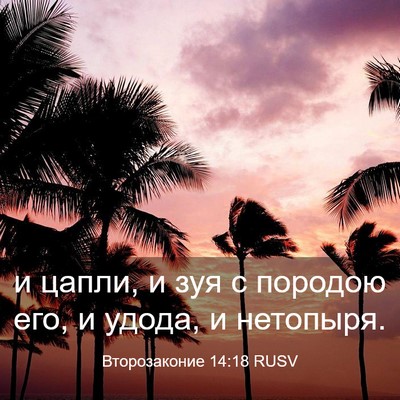 Picture 03 - Второзаконие 14:18 RUSV - и цапли, и зуя с породою - Bible Verse Picture