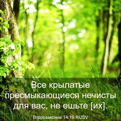 Picture 03 - Второзаконие 14:19 RUSV - Все крылатые - Bible Verse Picture