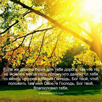 Picture 03 - Второзаконие 14:24 RUSV - Если же длинна будет для - Bible Verse Picture