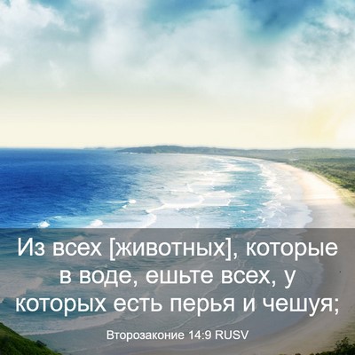Picture 03 - Второзаконие 14:9 RUSV - Из всех [животных], которые - Bible Verse Picture