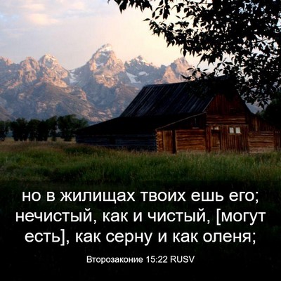 Picture 03 - Второзаконие 15:22 RUSV - но в жилищах твоих ешь его; - Bible Verse Picture