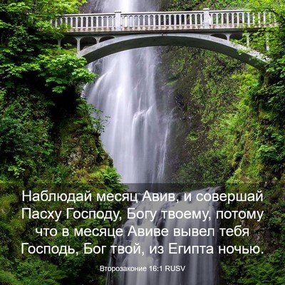 Picture 03 - Второзаконие 16:1 RUSV - Наблюдай месяц Авив, и - Bible Verse Picture