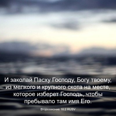 Picture 03 - Второзаконие 16:2 RUSV - И заколай Пасху Господу, - Bible Verse Picture
