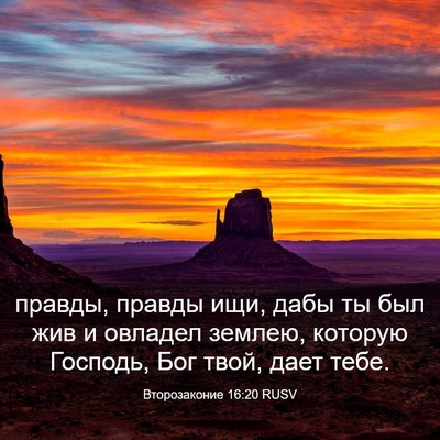 Picture 03 - Второзаконие 16:20 RUSV - правды, правды ищи, дабы ты - Bible Verse Picture