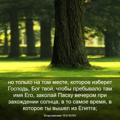 Picture 03 - Второзаконие 16:6 RUSV - но только на том месте, - Bible Verse Picture