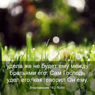 Picture 03 - Второзаконие 18:2 RUSV - удела же не будет ему между - Bible Verse Picture