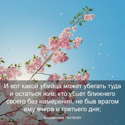 Picture 03 - Второзаконие 19:4 RUSV - И вот какой убийца может - Bible Verse Picture