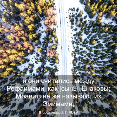 Picture 03 - Второзаконие 2:11 RUSV - и они считались между - Bible Verse Picture