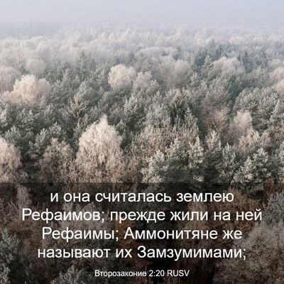 Picture 03 - Второзаконие 2:20 RUSV - и она считалась землею - Bible Verse Picture