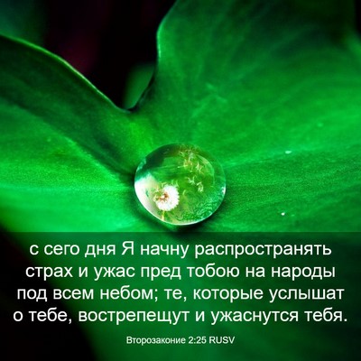 Picture 03 - Второзаконие 2:25 RUSV - с сего дня Я начну - Bible Verse Picture