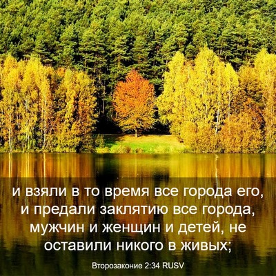 Picture 03 - Второзаконие 2:34 RUSV - и взяли в то время все - Bible Verse Picture