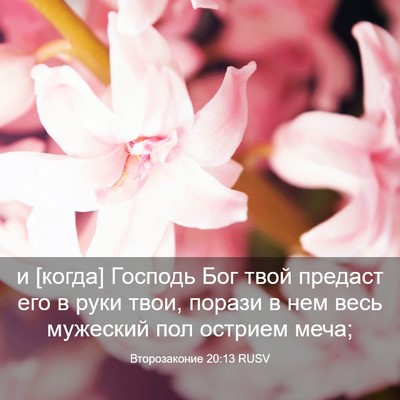 Picture 03 - Второзаконие 20:13 RUSV - и [когда] Господь Бог твой - Bible Verse Picture