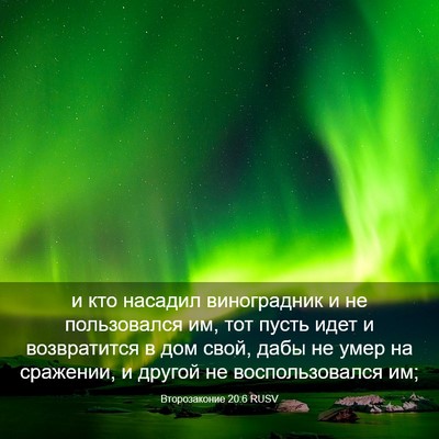 Picture 03 - Второзаконие 20:6 RUSV - и кто насадил виноградник - Bible Verse Picture