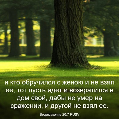 Picture 03 - Второзаконие 20:7 RUSV - и кто обручился с женою и - Bible Verse Picture