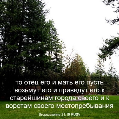 Picture 03 - Второзаконие 21:19 RUSV - то отец его и мать его - Bible Verse Picture