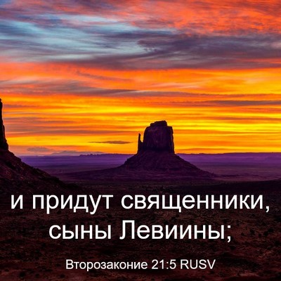Picture 03 - Второзаконие 21:5 RUSV - и придут священники, сыны - Bible Verse Picture