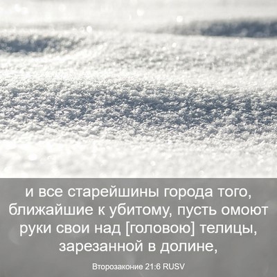 Picture 03 - Второзаконие 21:6 RUSV - и все старейшины города - Bible Verse Picture