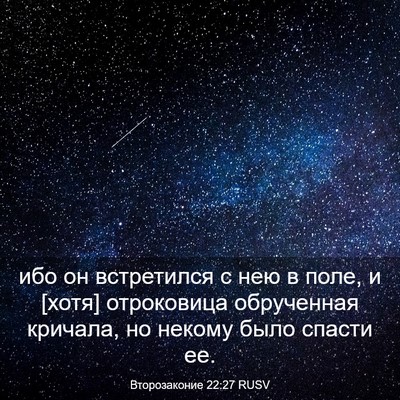 Picture 03 - Второзаконие 22:27 RUSV - ибо он встретился с нею в - Bible Verse Picture