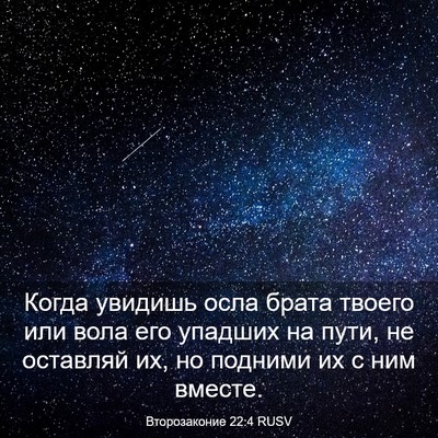 Picture 03 - Второзаконие 22:4 RUSV - Когда увидишь осла брата - Bible Verse Picture