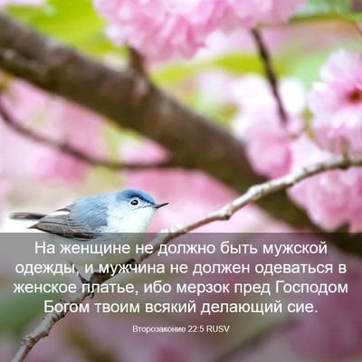 Picture 03 - Второзаконие 22:5 RUSV - На женщине не должно быть - Bible Verse Picture