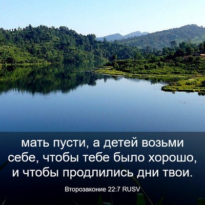 Picture 03 - Второзаконие 22:7 RUSV - мать пусти, а детей возьми - Bible Verse Picture