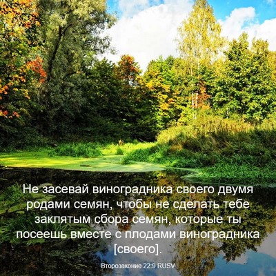 Picture 03 - Второзаконие 22:9 RUSV - Не засевай виноградника - Bible Verse Picture