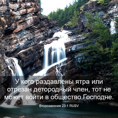 Picture 03 - Второзаконие 23:1 RUSV - У кого раздавлены ятра или - Bible Verse Picture