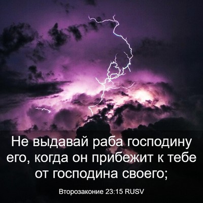 Picture 03 - Второзаконие 23:15 RUSV - Не выдавай раба господину - Bible Verse Picture