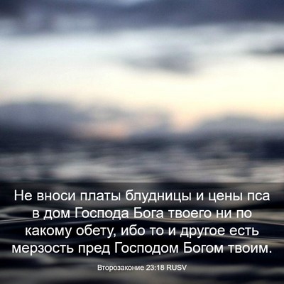 Picture 03 - Второзаконие 23:18 RUSV - Не вноси платы блудницы и - Bible Verse Picture