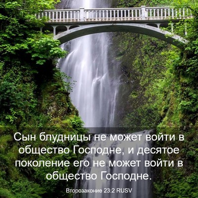 Picture 03 - Второзаконие 23:2 RUSV - Сын блудницы не может - Bible Verse Picture
