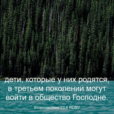Picture 03 - Второзаконие 23:8 RUSV - дети, которые у них - Bible Verse Picture