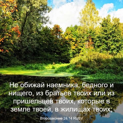 Picture 03 - Второзаконие 24:14 RUSV - Не обижай наемника, - Bible Verse Picture