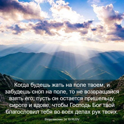 Picture 03 - Второзаконие 24:19 RUSV - Когда будешь жать на поле - Bible Verse Picture