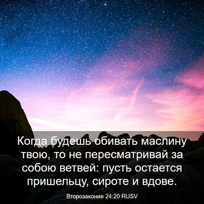 Picture 03 - Второзаконие 24:20 RUSV - Когда будешь обивать - Bible Verse Picture