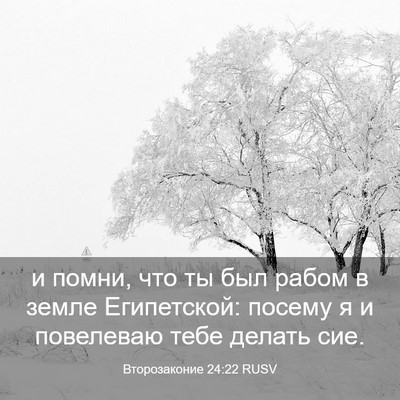 Picture 03 - Второзаконие 24:22 RUSV - и помни, что ты был рабом в - Bible Verse Picture