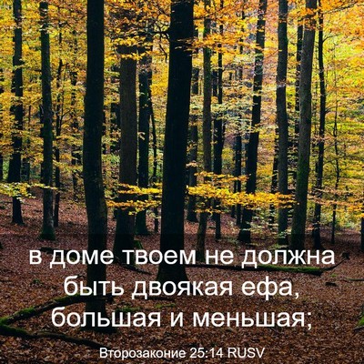 Picture 03 - Второзаконие 25:14 RUSV - в доме твоем не должна быть - Bible Verse Picture