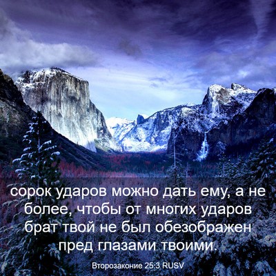 Picture 03 - Второзаконие 25:3 RUSV - сорок ударов можно дать - Bible Verse Picture