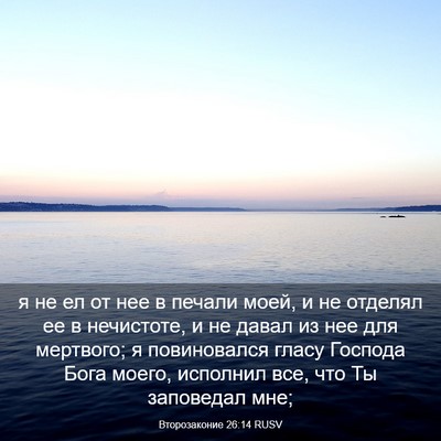 Picture 03 - Второзаконие 26:14 RUSV - я не ел от нее в печали - Bible Verse Picture