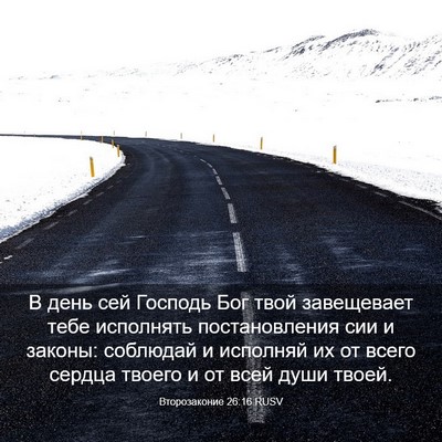 Picture 03 - Второзаконие 26:16 RUSV - В день сей Господь Бог твой - Bible Verse Picture