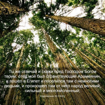 Picture 03 - Второзаконие 26:5 RUSV - Ты же отвечай и скажи пред - Bible Verse Picture