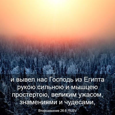 Picture 03 - Второзаконие 26:8 RUSV - и вывел нас Господь из - Bible Verse Picture