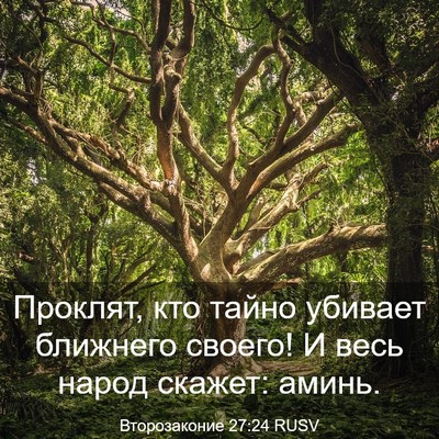 Picture 03 - Второзаконие 27:24 RUSV - Проклят, кто тайно убивает - Bible Verse Picture